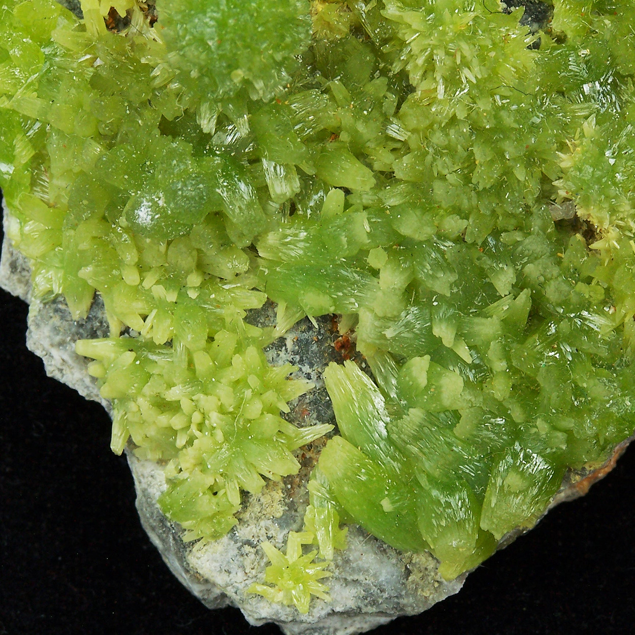 Pyromorphite