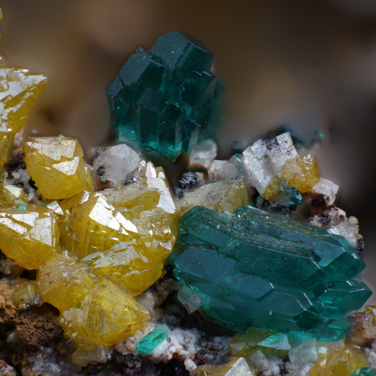 Dioptase & Wulfenite