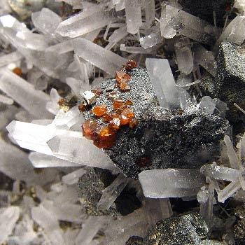 Chalcopyrite & Quartz