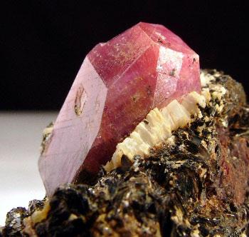 Corundum Var Ruby