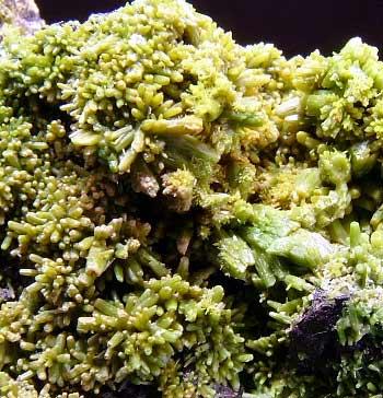 Pyromorphite