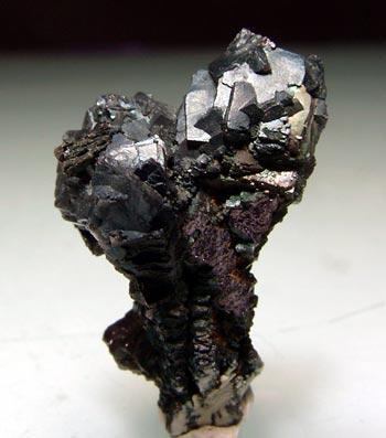 Bornite