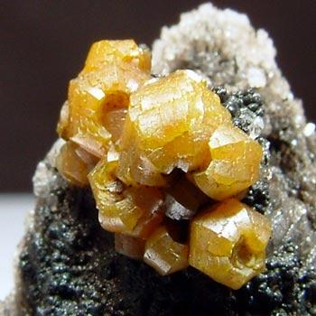 Campylite