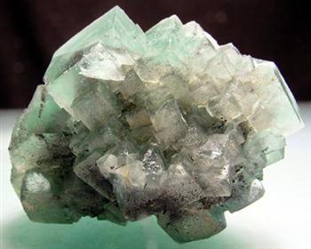 Fluorite & Wolframite