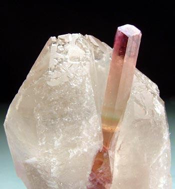 Liddicoatite & Quartz