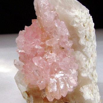 Rose Quartz