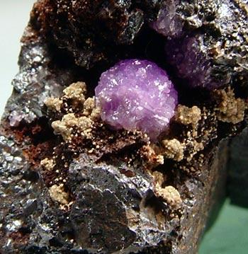 Tinticite & Strengite