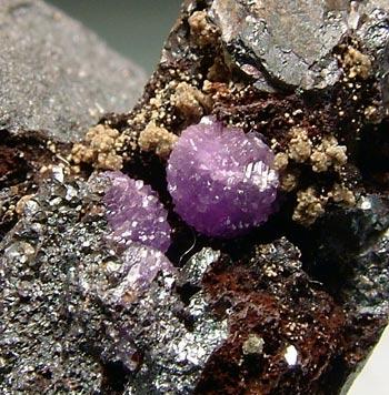 Tinticite & Strengite