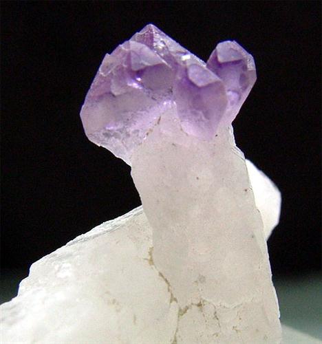 Amethyst Sceptre