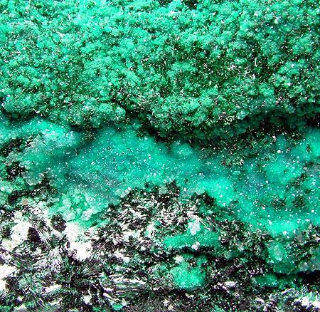 Atacamite Pseudomalachite & Chrysocolla