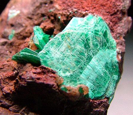 Chalcophyllite