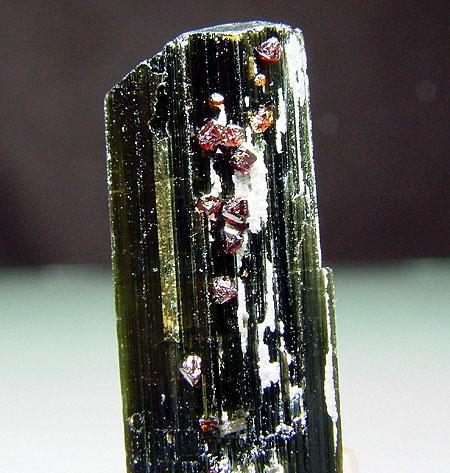 Elbaite With Microlite & Muscovite