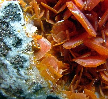 Wulfenite