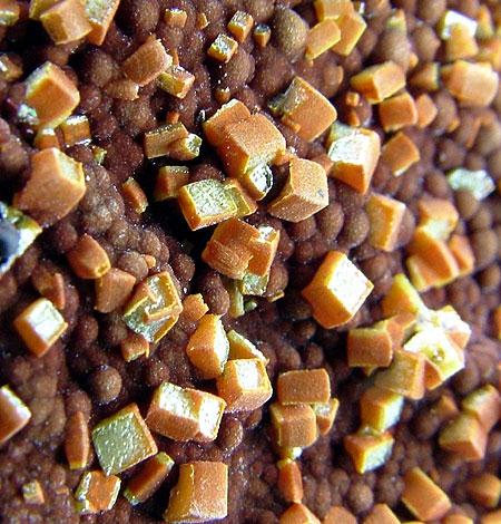 Wulfenite