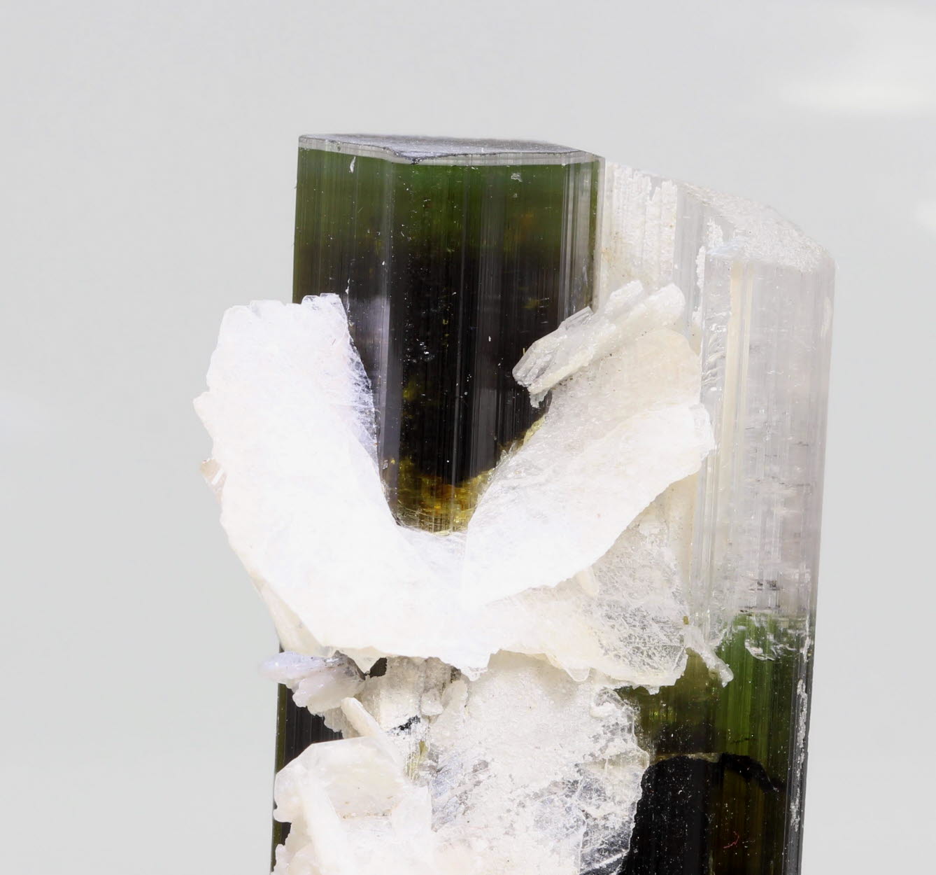 Elbaite & Cleavelandite