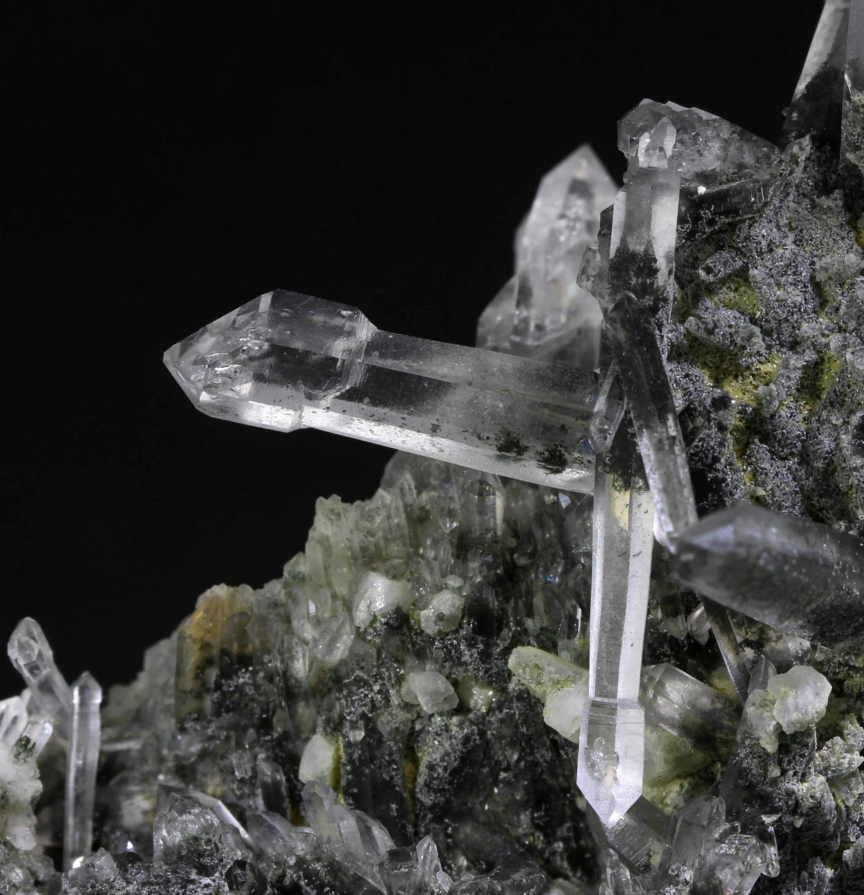 Quartz Var Sceptre Quartz With Chlorite Inclusions