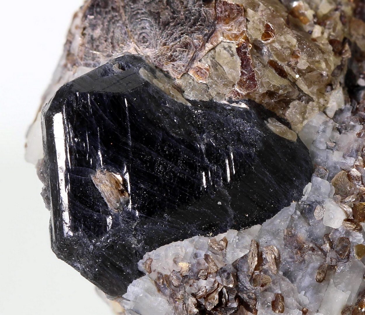 Sapphirine