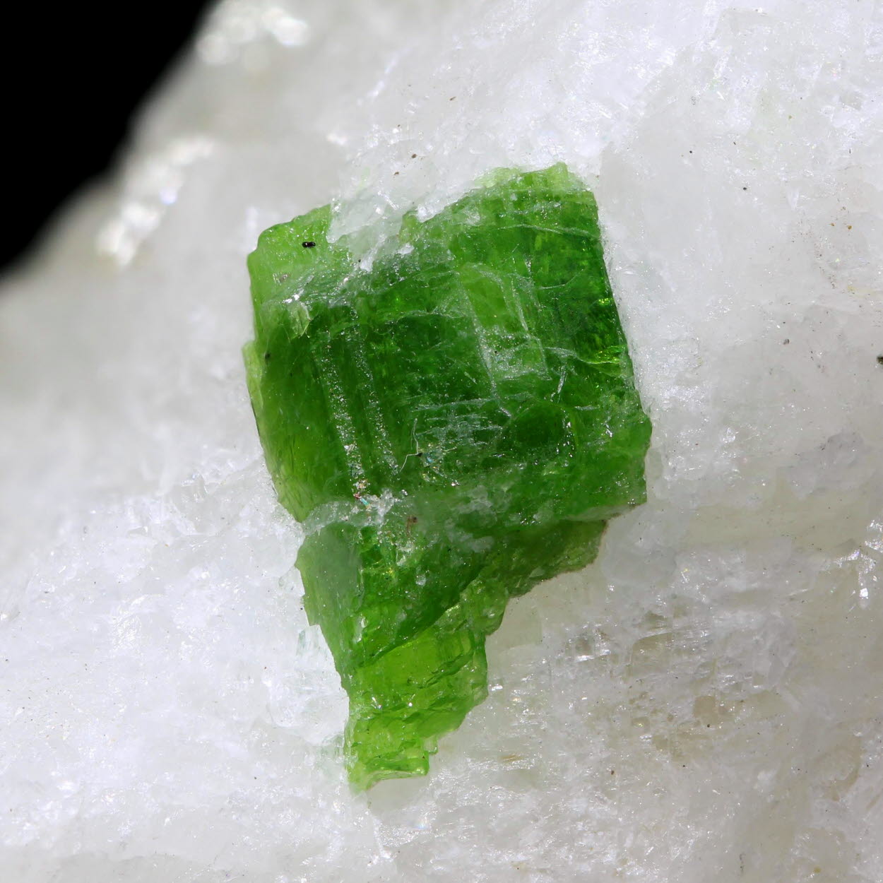 Pargasite