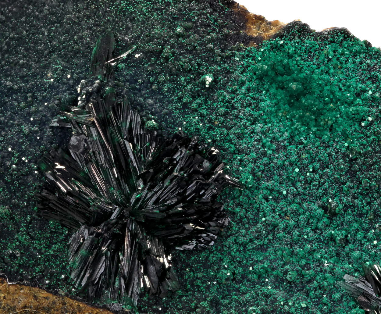 Atacamite With Dioptase & Pseudomalachite