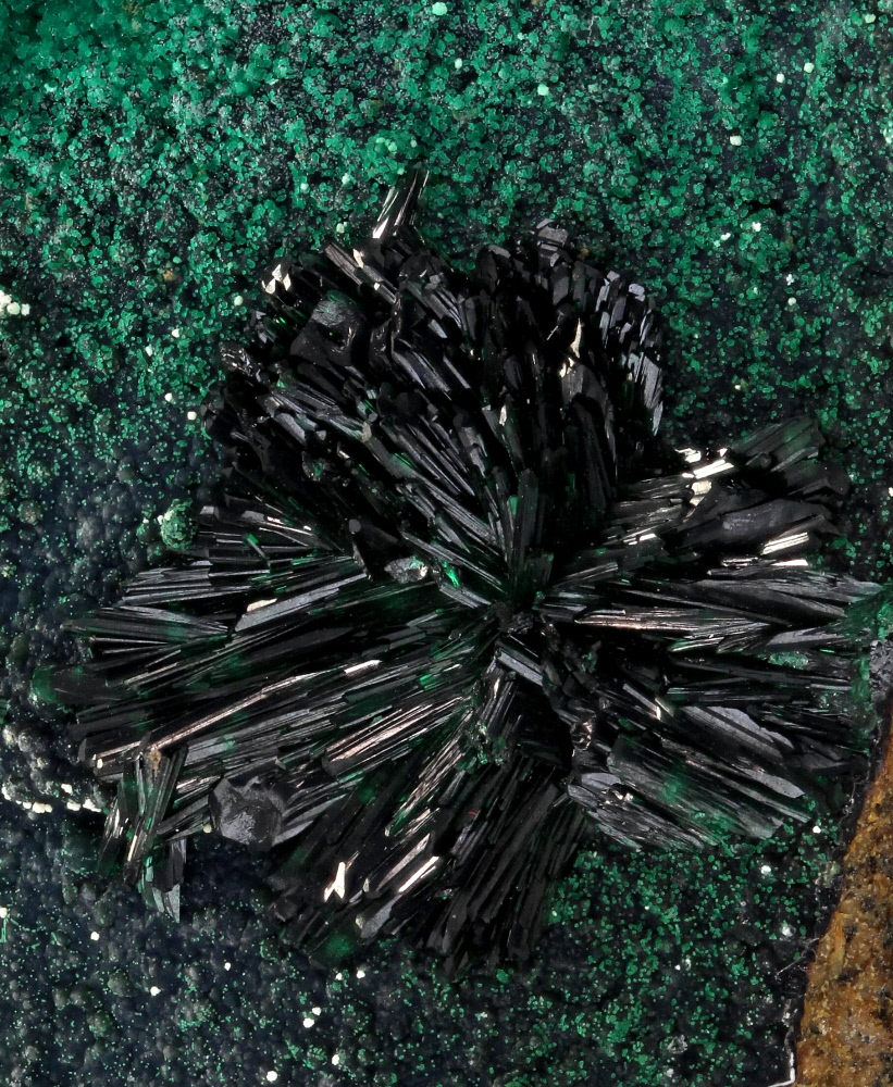 Atacamite With Dioptase & Pseudomalachite