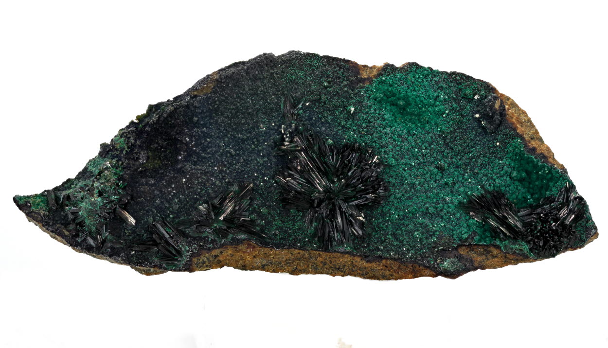 Atacamite With Dioptase & Pseudomalachite