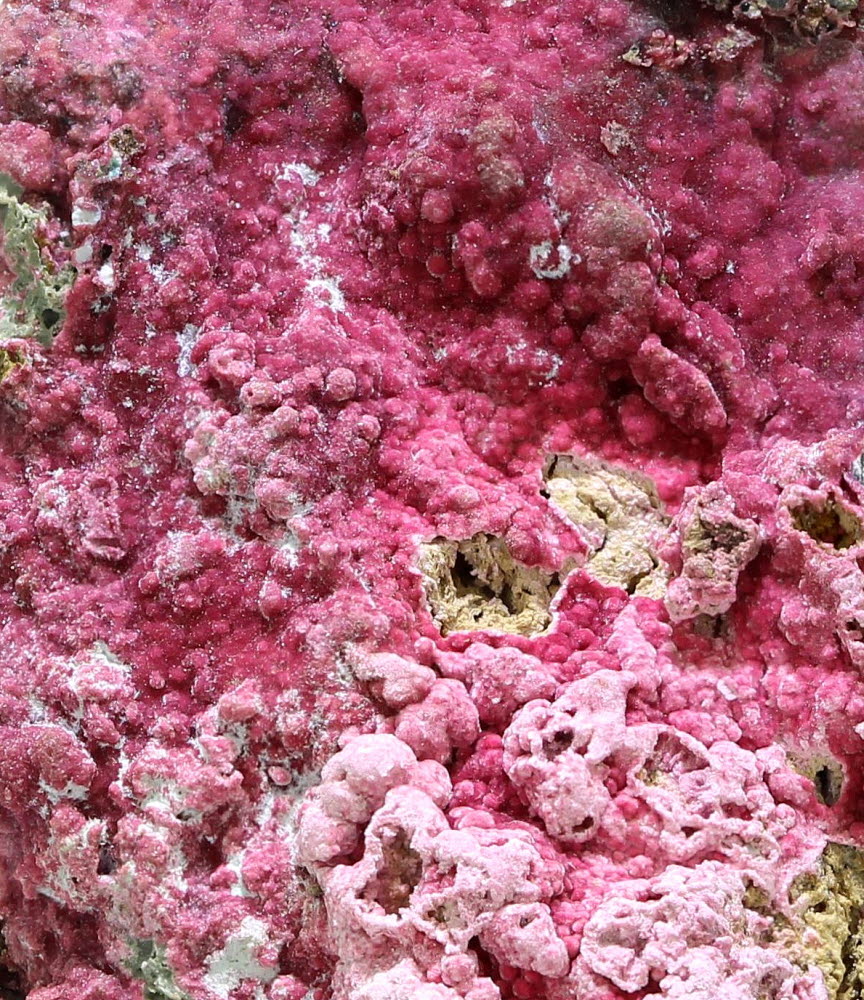 Erythrite