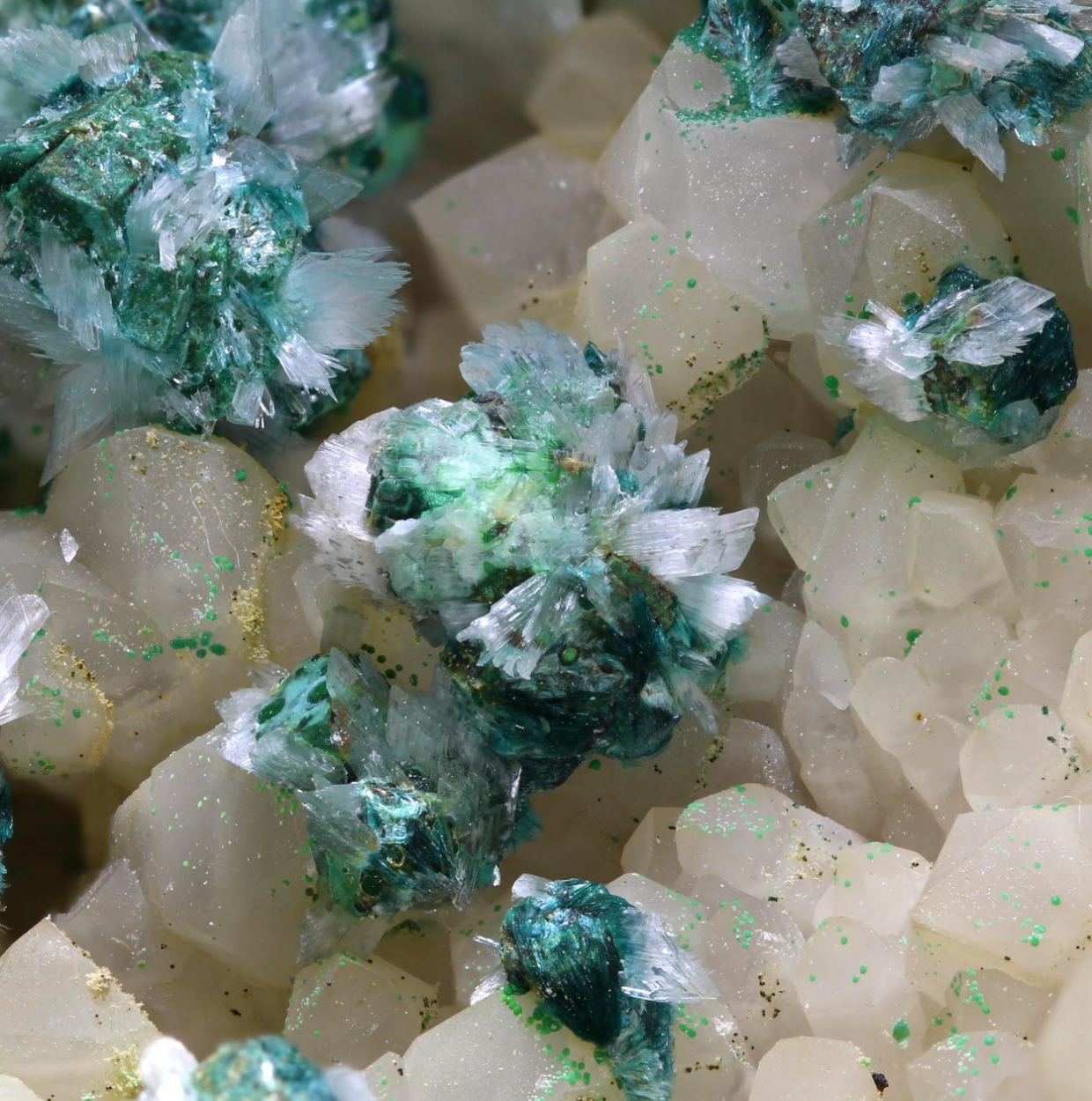 Gypsum On Quartz With Calcite
