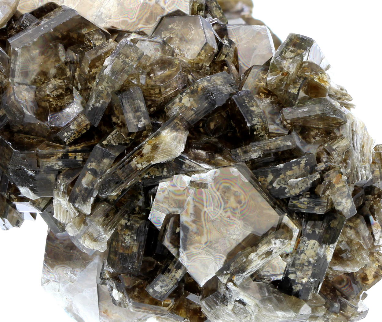 Muscovite