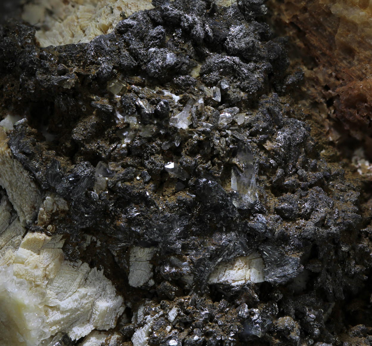 Pararammelsbergite & Safflorite