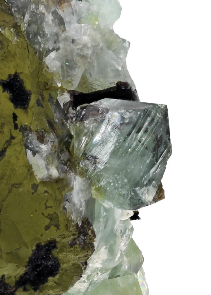 Phosphophyllite