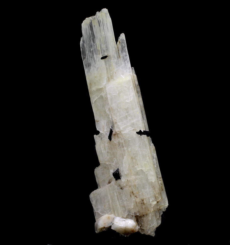 Eudidymite