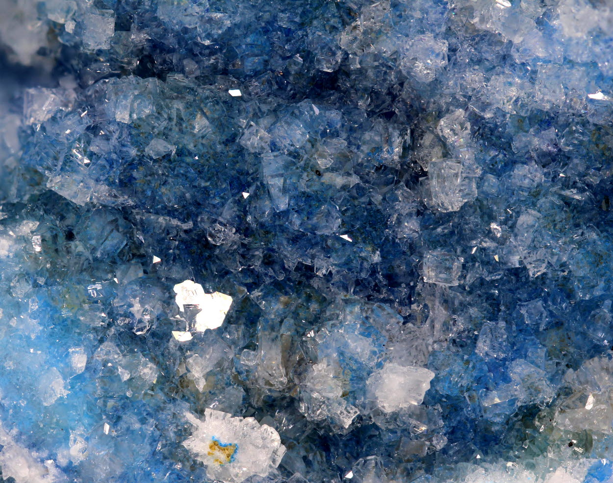 Apophyllite With Kinoite & Gilalite