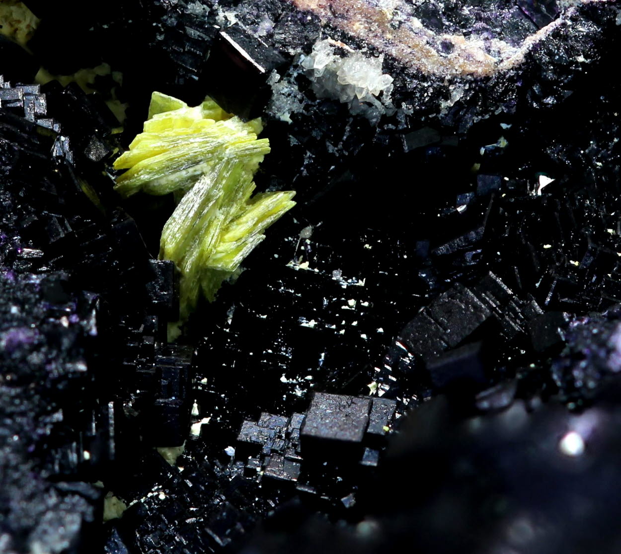 Uranocircite On Fluorite