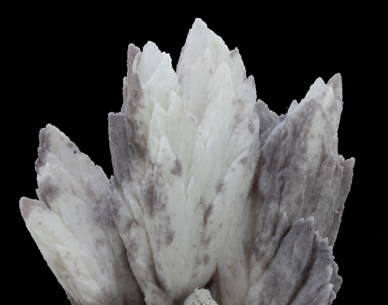 Calcite Cast