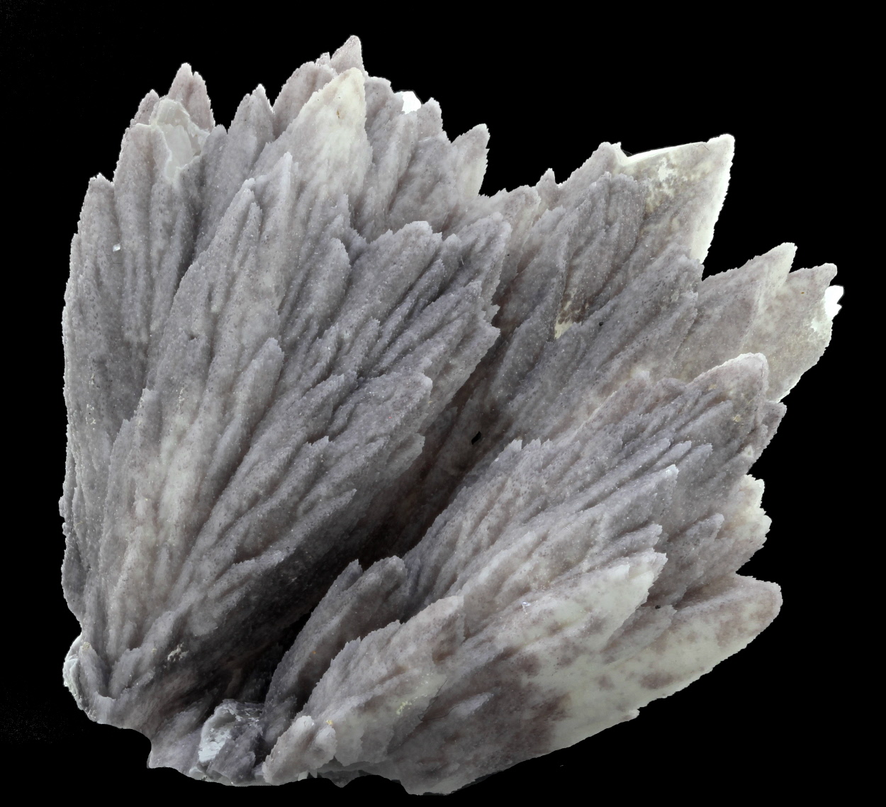 Calcite Cast