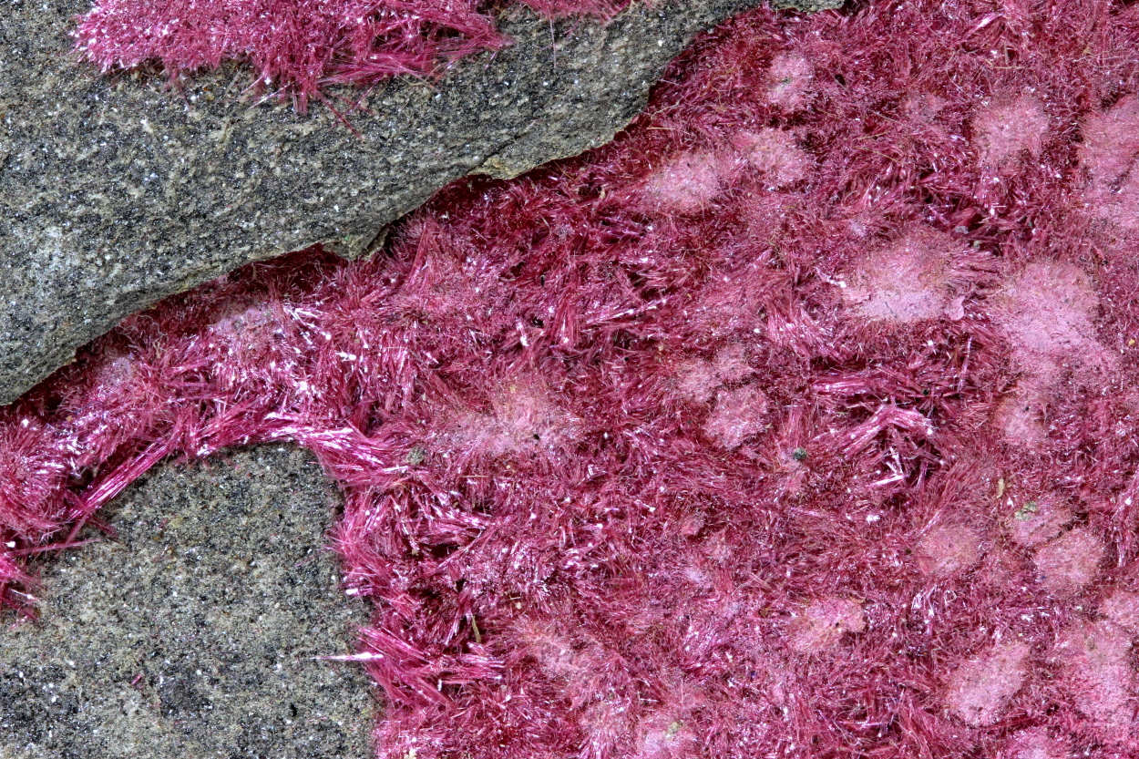 Erythrite