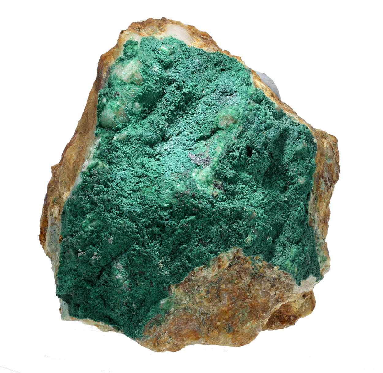 Botallackite & Atacamite