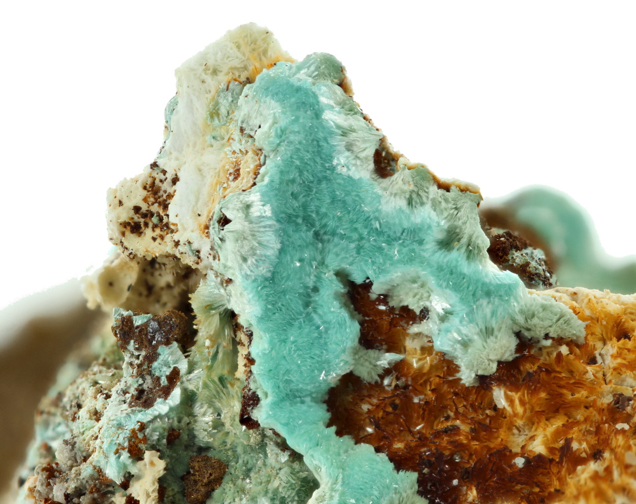 Aurichalcite Hydrozincite & Hemimorphite