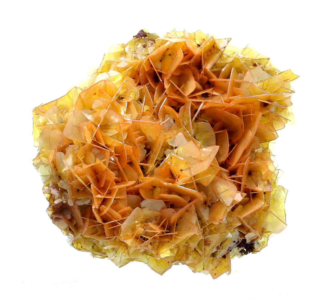 Wulfenite