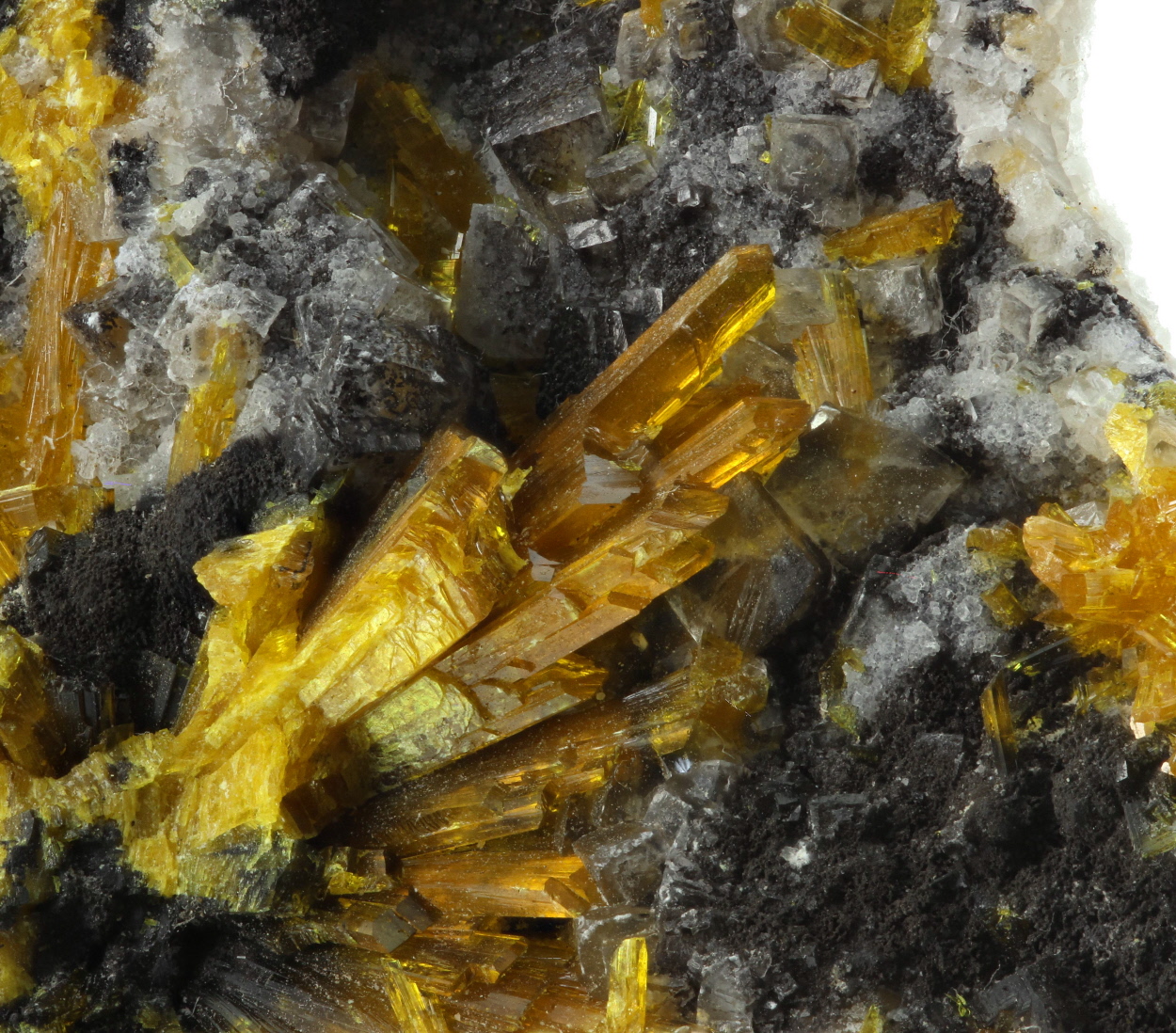 Uranophane & Calcite