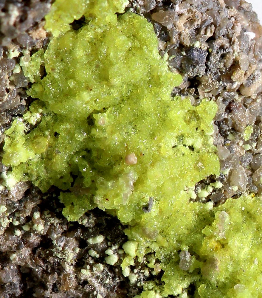 Andersonite & Natrozippeite