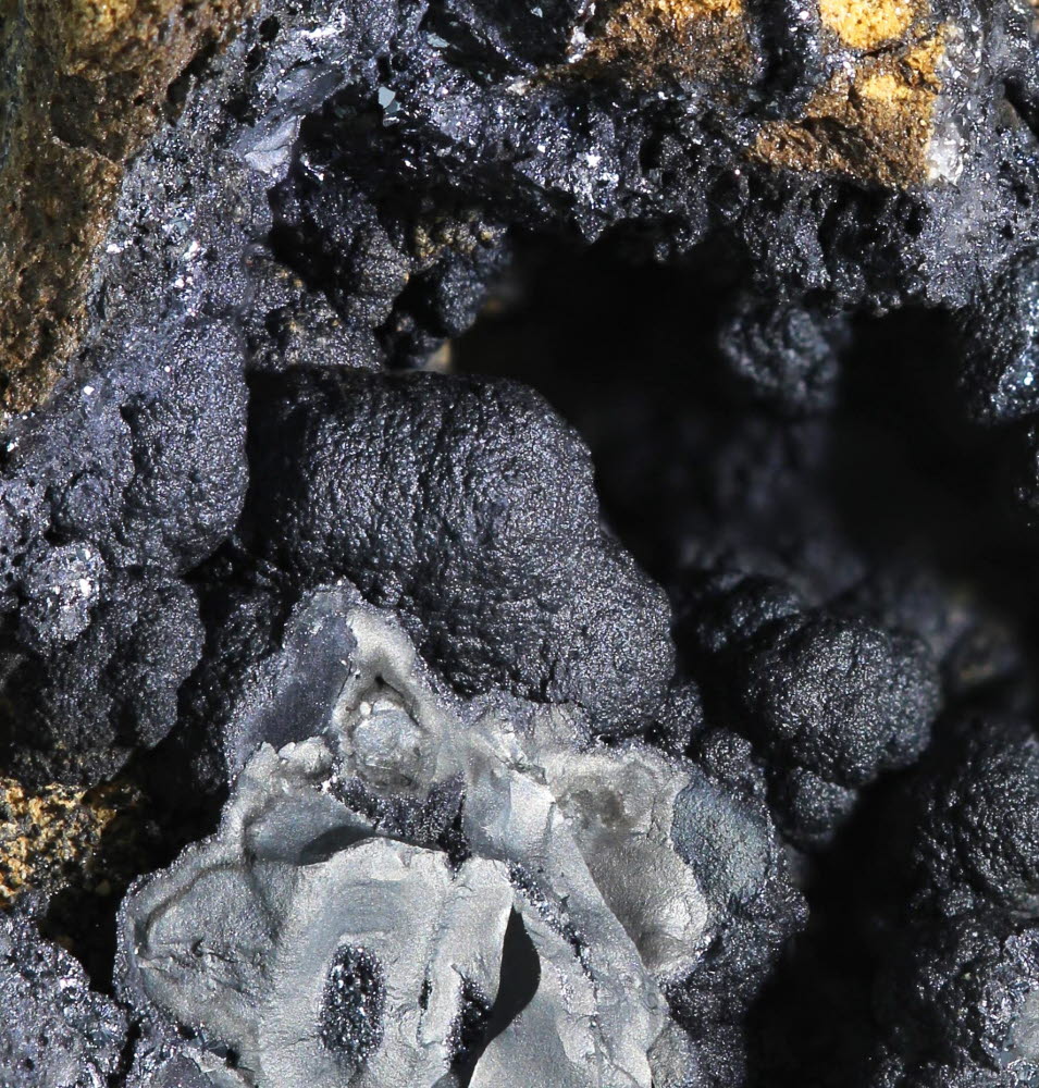 Chalcophanite & Pyrolusite