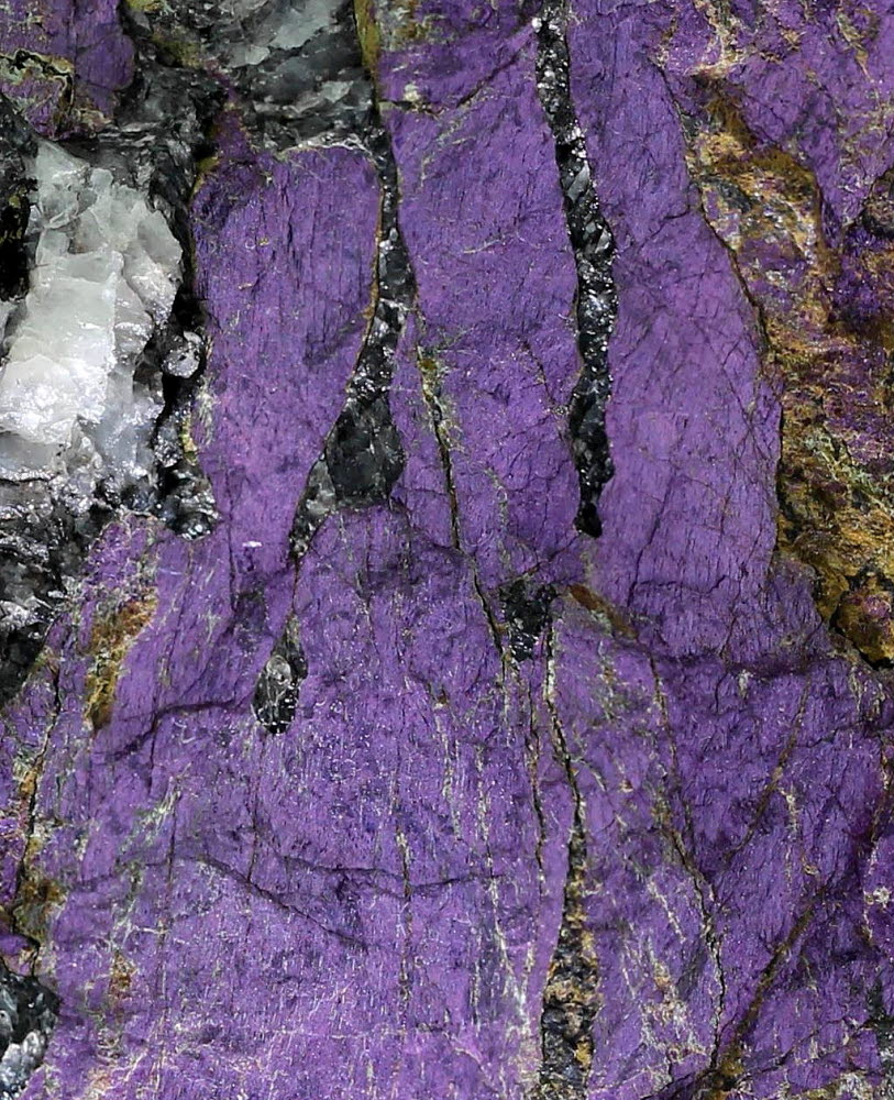 Purpurite