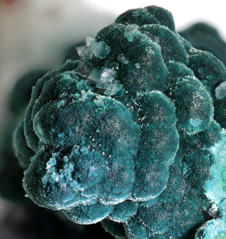 Rosasite & Calcite On Dolomite