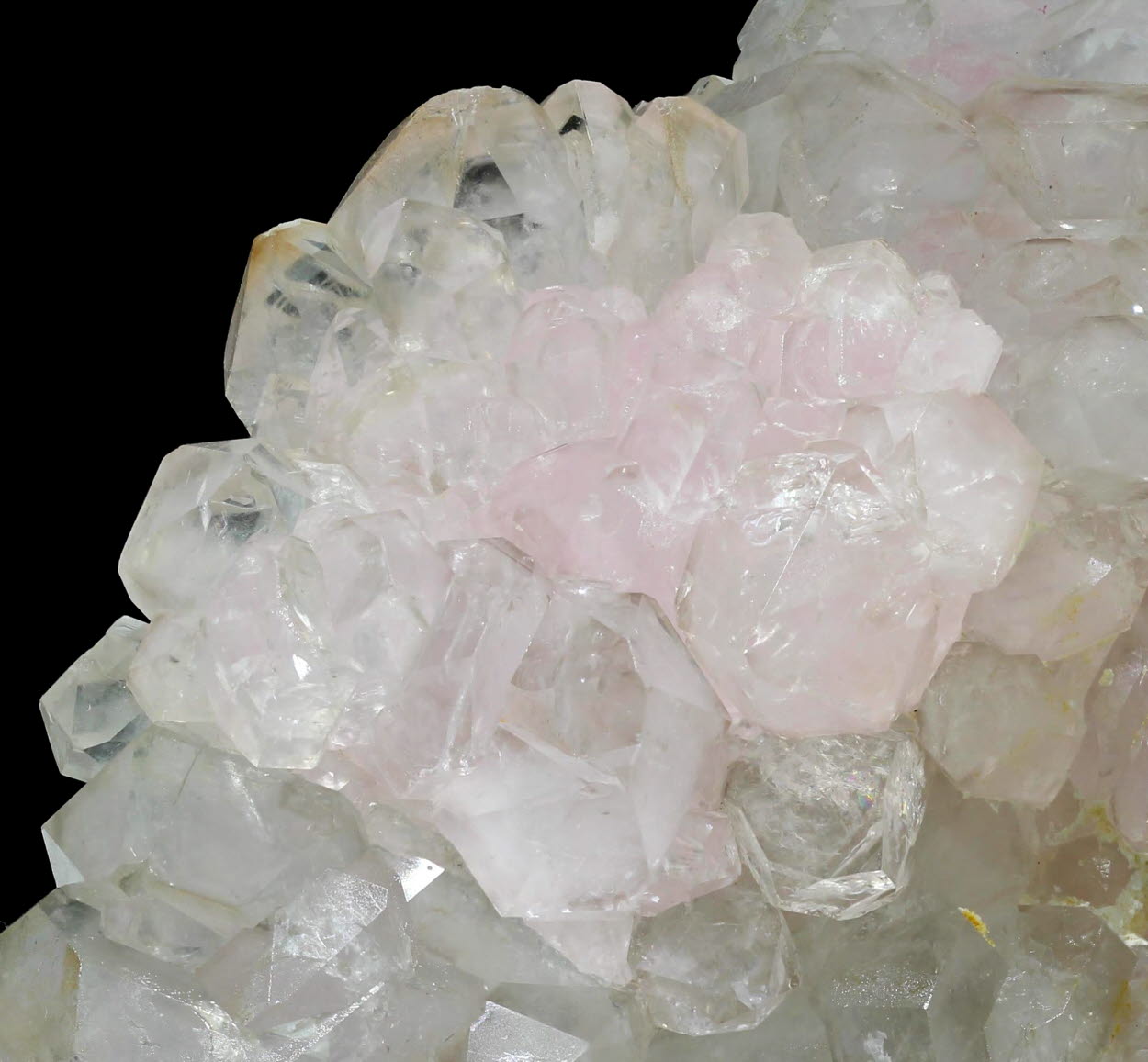 Rose Quartz