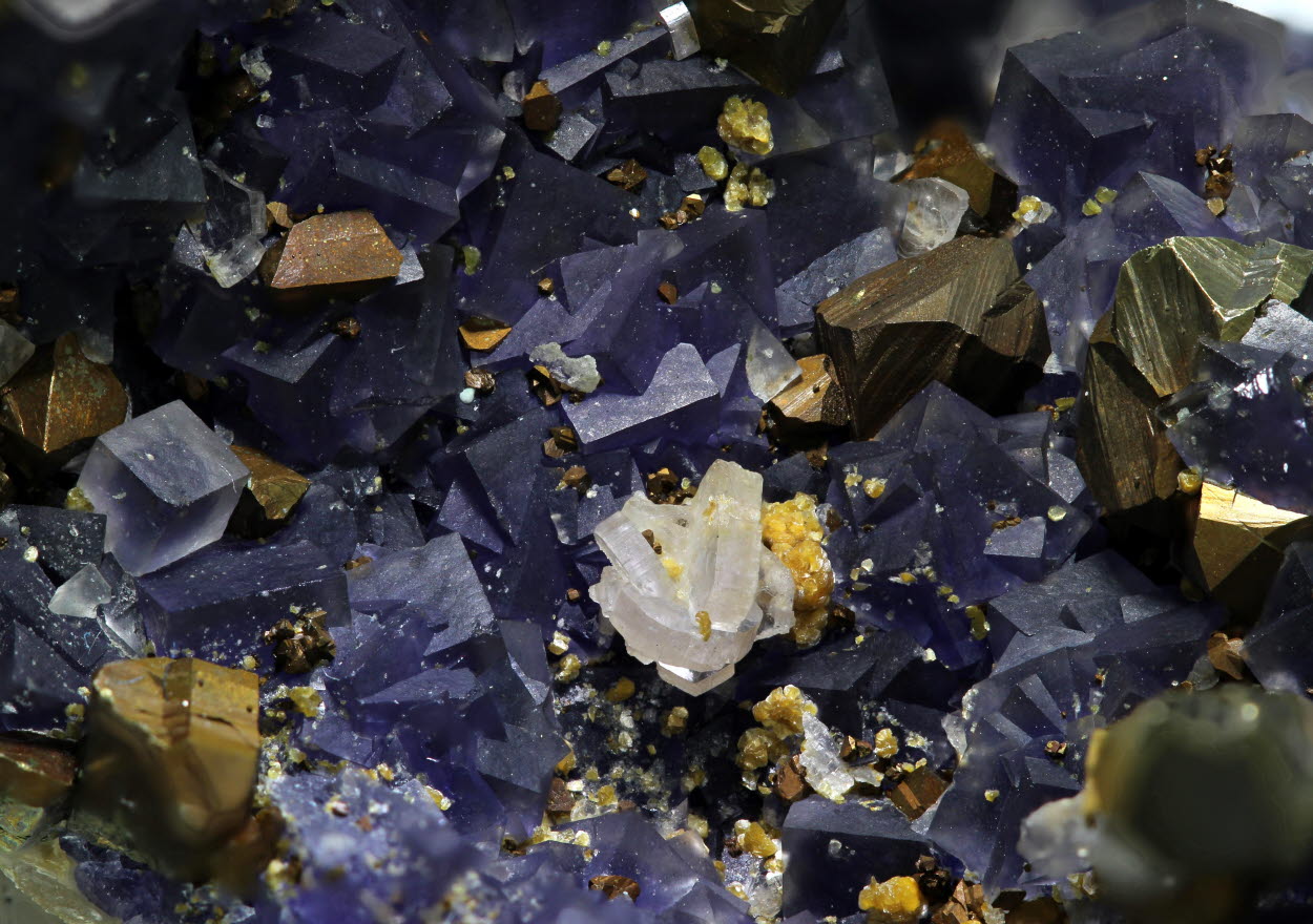 Fluorapatite Chalcopyrite & Gilbertite On Fluorite