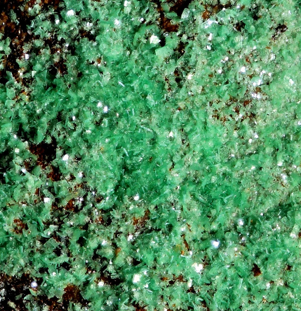 Metazeunerite