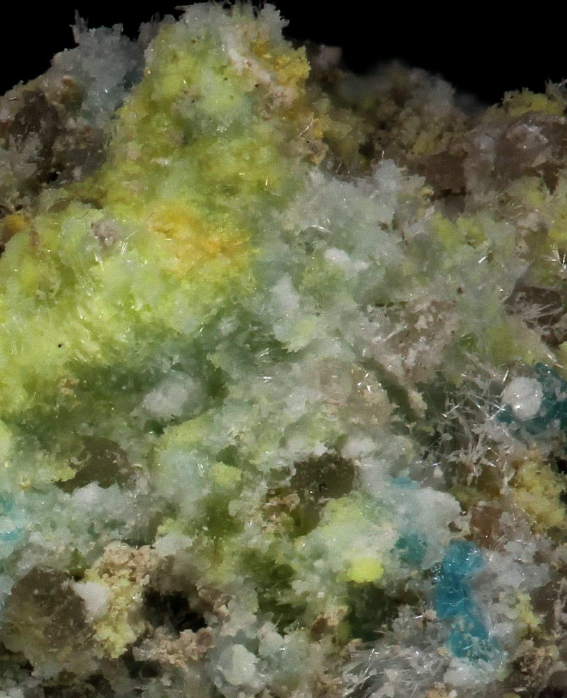 Oppenheimerite & Fermiite