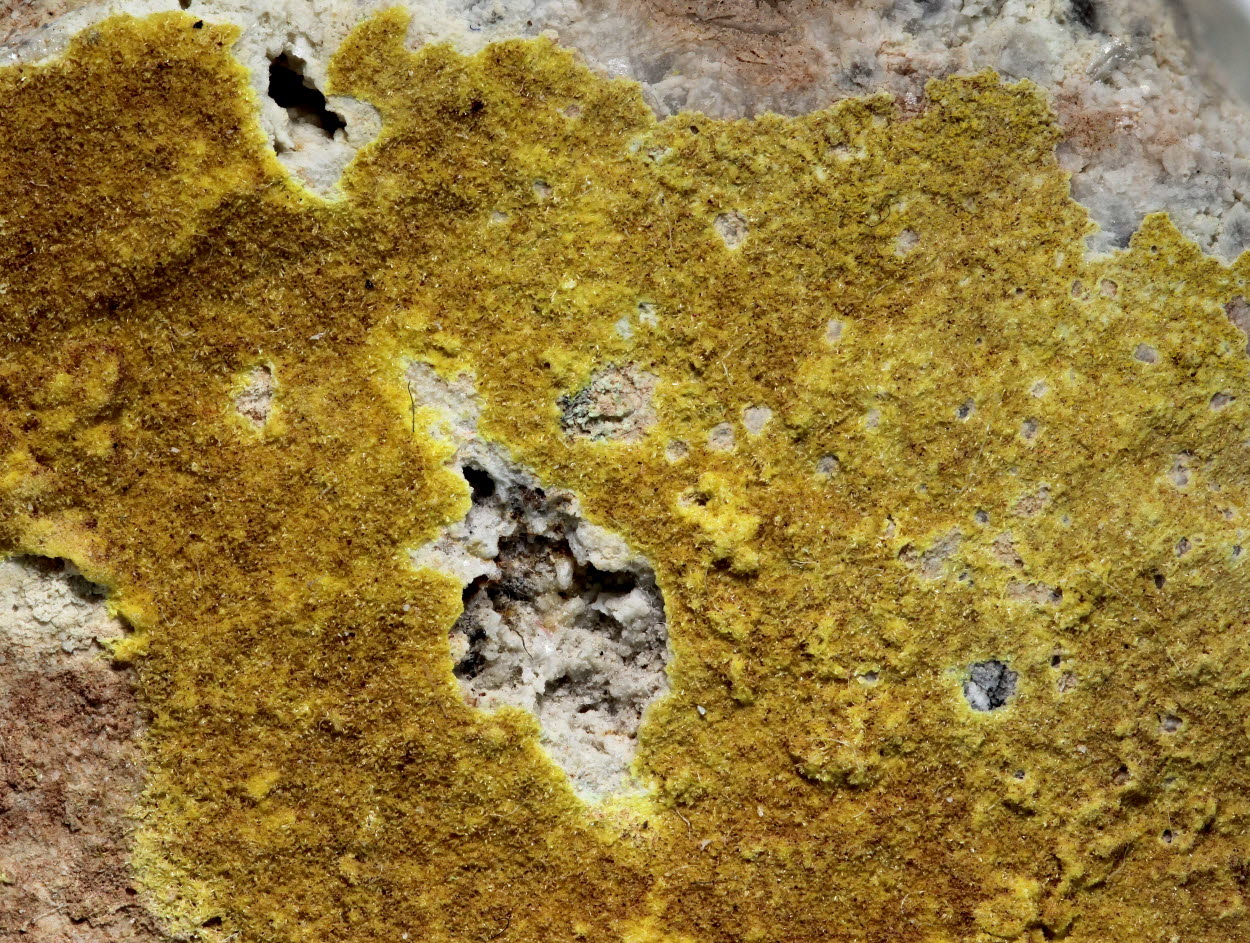 Dumontite