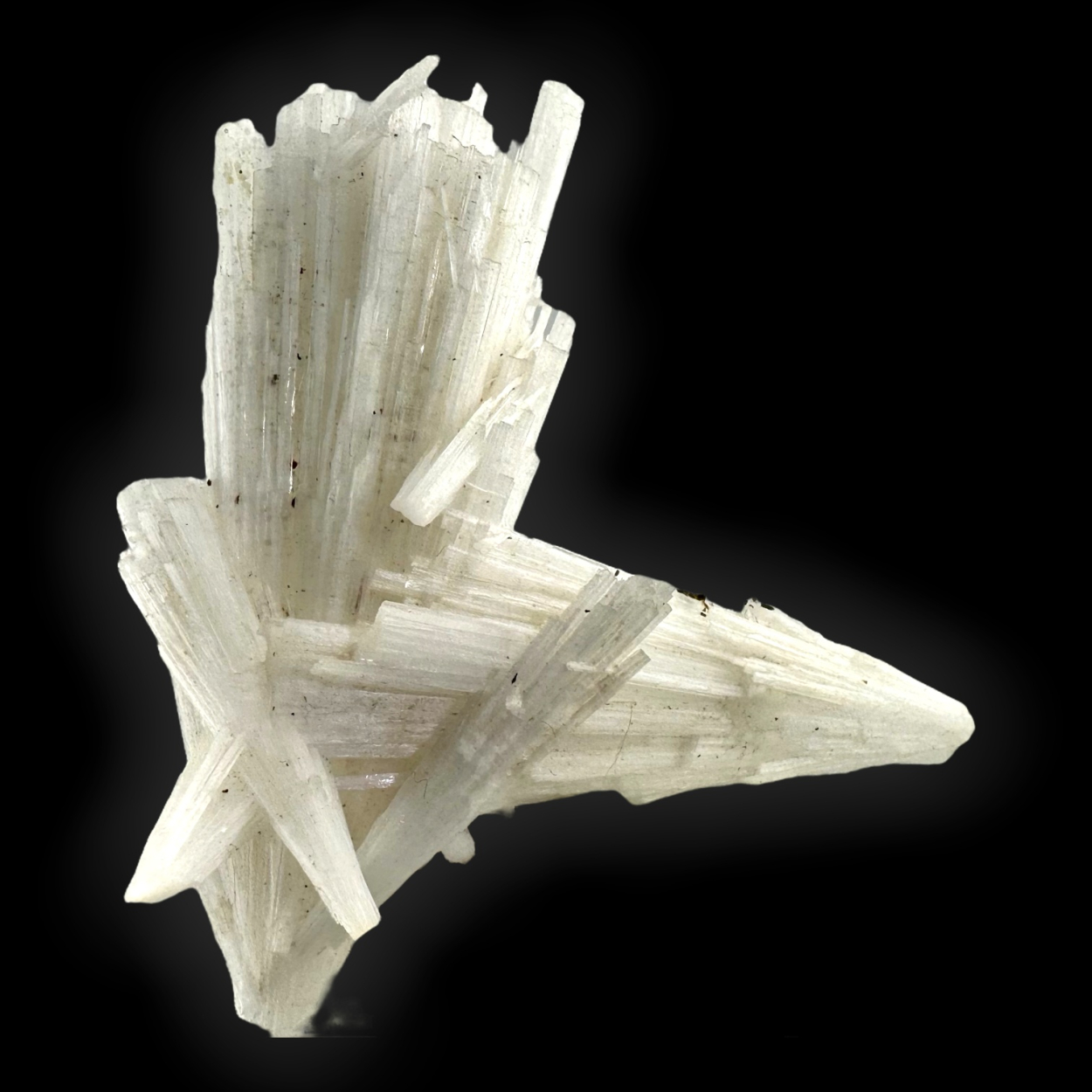 Scolecite